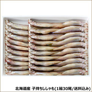 kCY   (qX/30/Ⓚ) { t { {VV q Ђ ~Mtg Ε Nz  Mtg 蕨 j  Ԃ j 