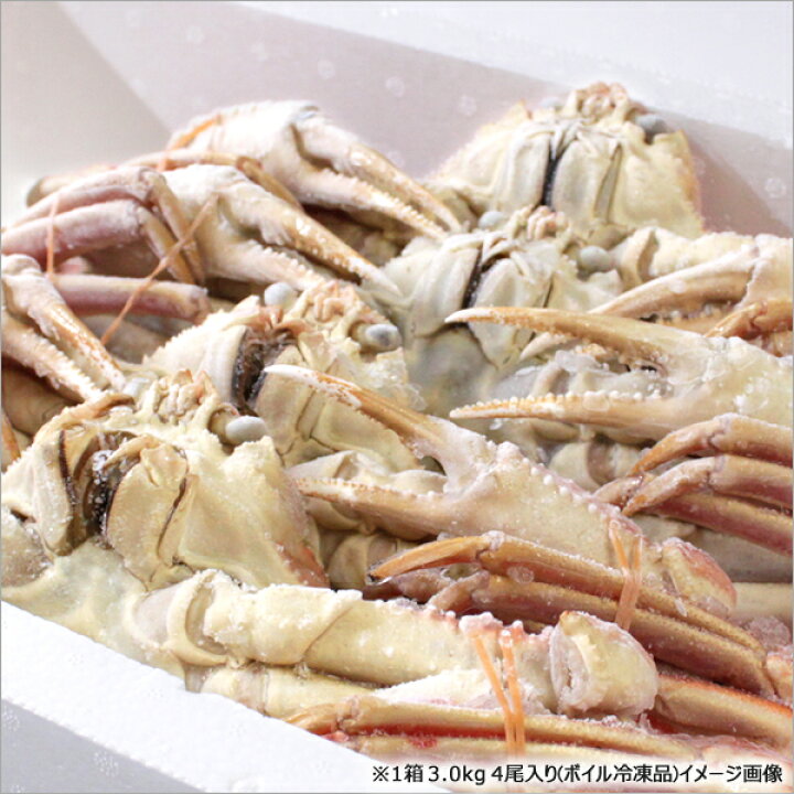 楽天市場 数量限定 カニ 訳あり ズワイガニ 3kg 姿 4尾入り ボイル済み 冷凍品 わけあり ずわい蟹 ズワイ ズワイ蟹 ボイル 寒中御見舞 新春 初売り 目玉 自宅 家庭 おうち 大盛り 食べ放題 カニパーティー 人気 売れ筋 北国 北海道 グルメ 送料無料 お取り寄せ 北