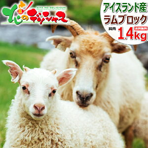  n ACXh ubN 1.4kg (V_[/Ⓚ) WMXJ ACXhY ACXh  r BBQ ē Mtg 蕨 j v[g p p 