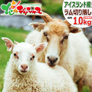  n ACXh ؂藎Ƃ 1kg (V_[/Ⓚ) WMXJ ACXhY ACXh  r BBQ ē Mtg 蕨 j v[g p p 
