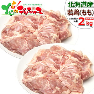 kCY { {  (/Ⓚ) {  { {     W[V[ p ƒp p ܂Ƃߔ ̎R{ kC O 