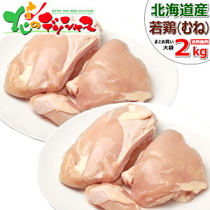 kCY { { ނ˓ (ނ/Ⓚ) {  { { ނ l ނ˓ l W[V[ p ƒp p ܂Ƃߔ ̎R{ kC O 