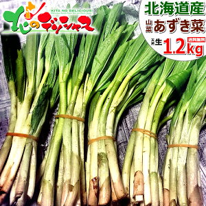 y\/͂wsz kCY R VR AYLi (1 50g/①) t̖o   AYL a Ђ Ƃ VՂ p ƒp p kC Hi O 