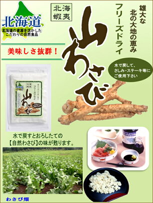 楽天市場 北海道グルメ 北のデリシャス 北海道 山菜 通年 出荷中 山わさび 北のデリシャス