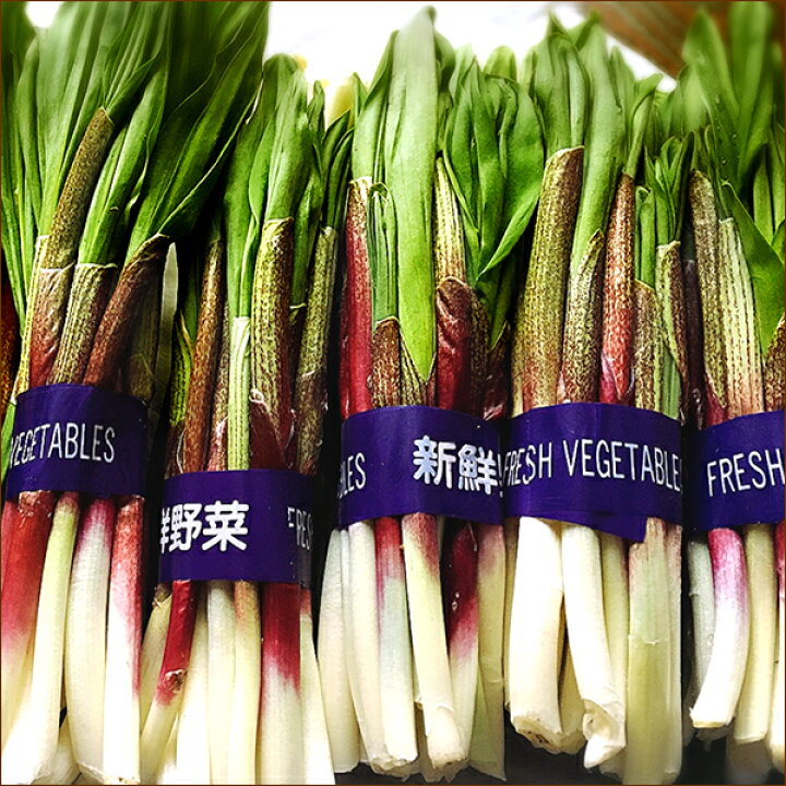 楽天市場】【出荷中】北海道産 山菜 天然 行者にんにく (1束 50g/冷蔵 
