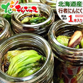 北海道産 天然 行者にんにく醤油漬け (冷蔵便) ご飯のお供 ジンギスカンのお供 希少 品薄 山菜 癖になる 行者にんにく 醤油漬け 行者ニンニク醤油漬け キトピロ ヒトビロ アイヌネギ 自宅用 おうち用 同梱 人気 北海道 郷土料理 グルメ お取り寄せ