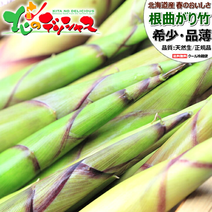 楽天市場】【予約】北海道産 山菜 天然 根曲がり竹 (冷蔵便) 春の味覚 予約受付開始❗️北海道産天然たけのこ