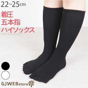 \bNX fB[X ܖ{w nC\bNX C Ȃ K  \bNX w n dp ʊw