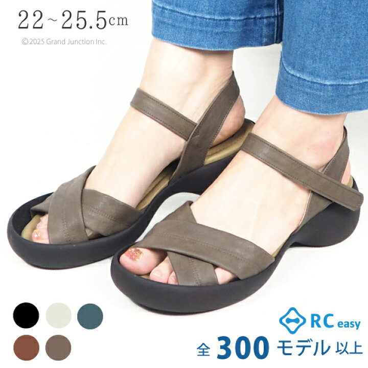 楽天市場】《まとめ買いで最大4000円OFFクーポン》 リゲッタ カヌー 