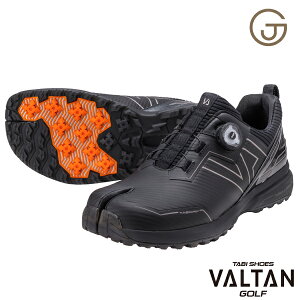  ^ StV[Y Y XpCNX _C ܃V[Y VALTAN o^ St C L Ch 3E  T|[g X|[c ɂ _CV[Y Obv  w 