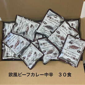 欧風ビーフカレー 中辛業務用 非常食 レトルト 大容量 便利 時短 ケース販売
