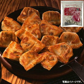 味の素冷凍食品　なにわのおつまみ餃子