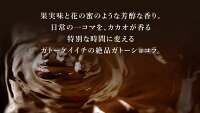 世界が恋する魅惑のカカオ〜味わい有機ショコラ〜オーガニックショコラを贅沢に使った濃厚ガトーショコラ!!