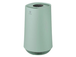 Vi Electrolux Flow A3 FA31-202GN [mfBbNO[] C@ GNgbNX