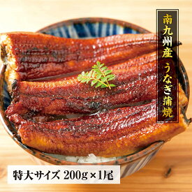 特大サイズ！南九州産うなぎ　長焼き200g　1尾　【自宅用】　食べ方説明書、タレ＆山椒付き うなぎ うなぎ 国産 うなぎ ギフト ウナギ 鰻 お中元 夏ギフト プレゼント 蒲焼き 土用の丑 グルメ 丑の日
