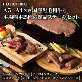 【フジチク】牛・馬ステーキセット　藤彩牛 ブランド牛 ステーキ肉 ギフト 牛肉 サーロインステーキ 馬肉 食べ物 ギフト 高級