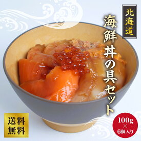 根室直送！　海鮮丼の具セット（6個入）100g×6　直送 海鮮丼 セット 送料無料 かに いくら うに サーモン さけ 鮭いくら ほたて えび 甘えび 北海道 海鮮丼の具 詰め合わせ ギフト お歳暮 お中元 取り寄せ