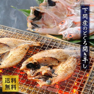 yRz֎YÎǂJ@ ̍ mhO v[g Mtg  Yi YHi 蕨  ܂