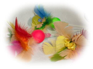 �s���|�����[�Y 1�{ �L����炵 �L�̂������� �L ���L ���� ���� �L�p���` �P���P�� �܂����� �T���v�� �^���s�� �X�g���X���� ���U