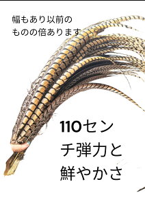 yLzylR|XzRbNtFUgeCELW̐KHO@i1{jL炵 L̂ VjAL {  XgX U ^s ˂