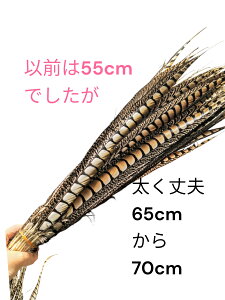 yLzylR|XziRbNtFUgeCELW̐KHO@i1{jL炵 L̂ VjAL {  XgX U ^s ˂