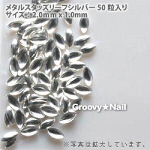 LIFEBEAUTY Ctr[eB[ lCp[c ^X^bY [t 1×2mm Vo[ ylR|XΉz lCpi̐X lC p[c