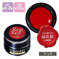 PREGEL プリジェル カラーEx ジェルネイル カラージェル 4g 285 リアルレッド ジェルネイル検定指定商品 …