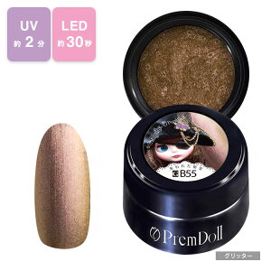 PREGEL vWF vh[ uCXR{ WFlC J[WF 3g B55 ꂽ y`OXցz