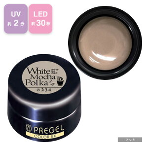 PREGEL vWF J[Ex WFlC J[WF 4g 234 zCgJ|J y`OXցz