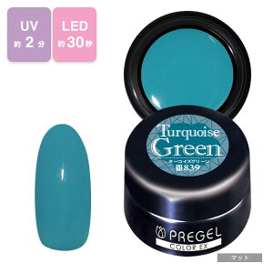 PREGEL vWF J[Ex WFlC J[WF 3g 839 ^[RCYO[ y`OXցz