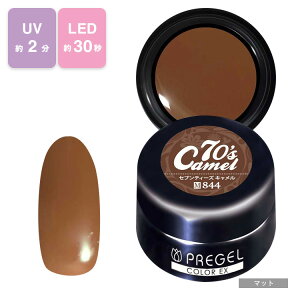 PREGEL vWF J[Ex WFlC J[WF 3g 844 ZueB[YL y`OXցz