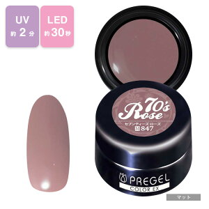 PREGEL vWF J[Ex WFlC J[WF 3g 847 ZueB[Y[Y y`OXցz