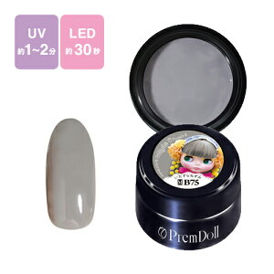 PREGEL vWF vh[ uCXR{ WFlC J[WF B75 3g ˂ y`OXցz