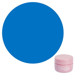 PREGEL �v���W�F�� �~���[�Y �}�U�[�Y�u���[ PGM-M049 3g �y��`�O�X�ցz