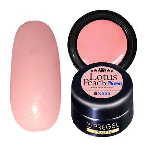 PREGEL vWF J[Ex WFlC J[WF 4g 555 [^Xs[`-P neo y`OXցz