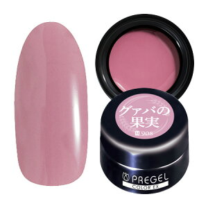 PREGEL vWF J[EX WFlC J[WF 3g 908 O@ỏʎ y`OXցz