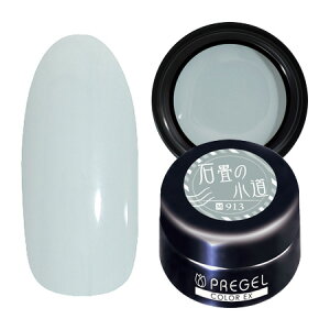 PREGEL vWF J[EX WFlC J[WF 3g 913 Ώ̏ y`OXցz