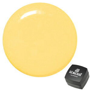 KOKOIST RRCXg WFlC \[NIt J[WF E-9 RR 2.5g ylR|XΉz lCpi̐X