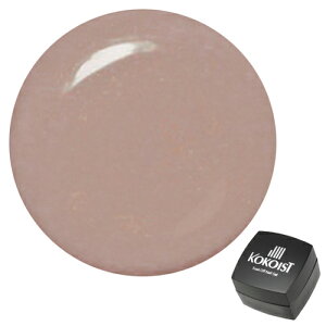 KOKOIST RRCXg WFlC \[NIt J[WF E-31S [LfB 2.5g ylR|XΉz lCpi̐X