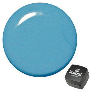 KOKOIST RRCXg WFlC \[NIt J[WF E-37 CLLXJC 2.5g ylR|XΉz lCpi̐X