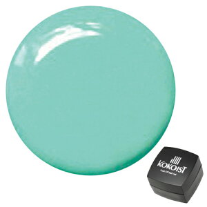 KOKOIST RRCXg WFlC \[NIt J[WF E-48 ~eBN[ 2.5g ylR|XΉz lCpi̐X