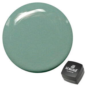 KOKOIST RRCXg WFlC \[NIt J[WF E-71 X[NeB[ 2.5g ylR|XΉz lCpi̐X