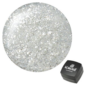 KOKOIST RRCXg WFlC \[NIt J[WF E-178 _YOACX 2.5g ylR|XΉz lCpi̐X