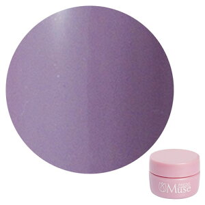 PREGEL Muse �v���W�F���~���[�Y �J���[�W�F�� PGU-S284 ���F�[�����[�u 3g �y��`�O�X�ցz