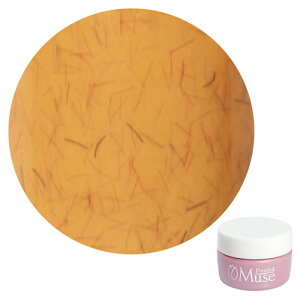 PremDoll Muse �v�����h�[���~���[�Y PREGEL �v���W�F�� �J���[�W�F�� PDU-G654 �t�@�W�[�A�v���R 3g �y��`�O�X�ցz