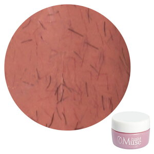 PremDoll Muse �v�����h�[���~���[�Y PREGEL �v���W�F�� �J���[�W�F�� PDU-G655 �t�@�W�[�v���� 3g �y��`�O�X�ցz