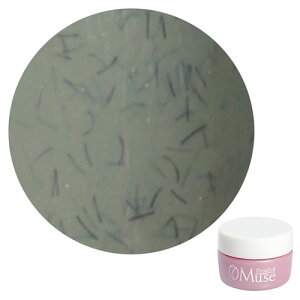PremDoll Muse �v�����h�[���~���[�Y PREGEL �v���W�F�� �J���[�W�F�� PDU-G656 �t�@�W�[���X 3g �y��`�O�X�ցz