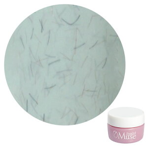 PremDoll Muse �v�����h�[���~���[�Y PREGEL �v���W�F�� �J���[�W�F�� PDU-G657 �t�@�W�[�~���g 3g �y��`�O�X�ցz