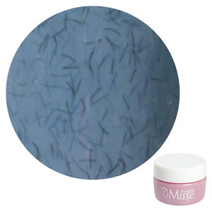 PremDoll Muse �v�����h�[���~���[�Y PREGEL �v���W�F�� �J���[�W�F�� PDU-G658 �t�@�W�[�V�G���u���[ 3g �y��`�O�X�ցz