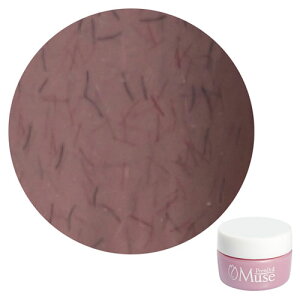 PremDoll Muse �v�����h�[���~���[�Y PREGEL �v���W�F�� �J���[�W�F�� PDU-G659 �t�@�W�[�m�[�u�� 3g �y��`�O�X�ցz